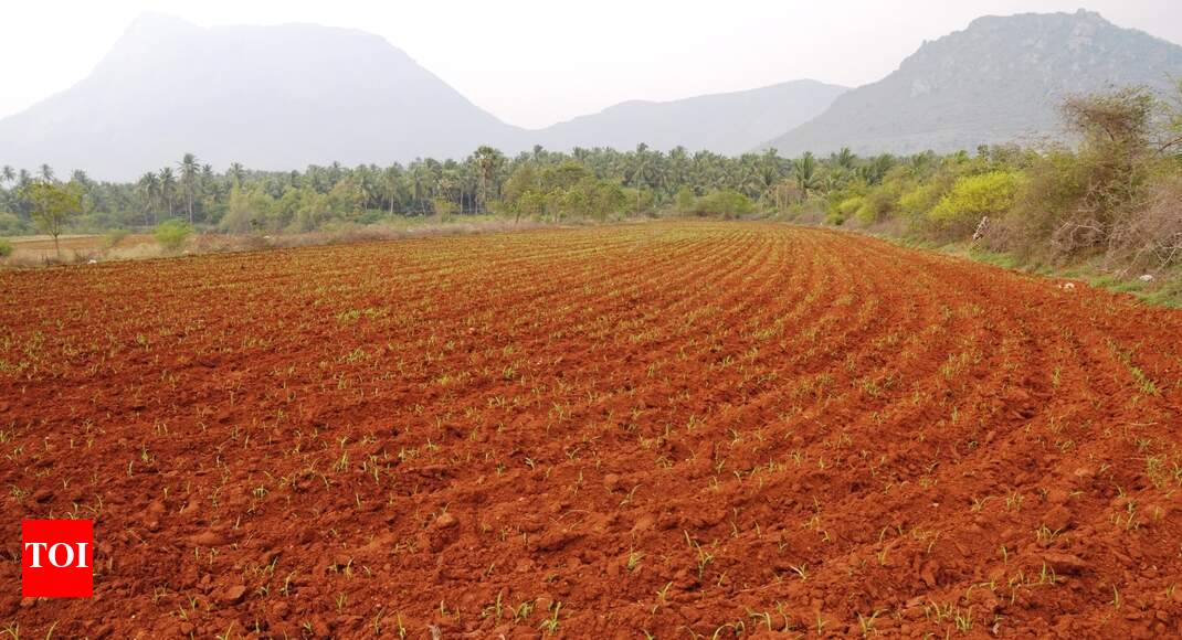 Plough or lease land, Karnataka tells farmers Bengaluru News Times
