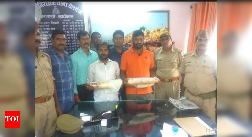 Smugglers With 8kg Elephant Tusk: Elephant tusk worth Rs 25 lakh