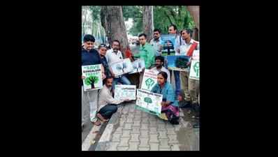 Citizens protest axing of trees on Bannerghatta Road