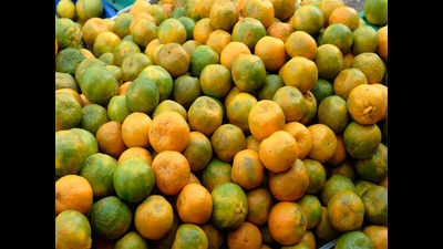 Shower shortfall, heatwave to hit Nagpur oranges’ production