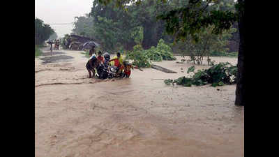 Nitish seeks Army help as floods worsen in 4 districts