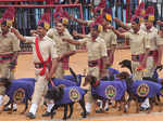 Dog squad of Karnataka state police perform full-dress rehearsal