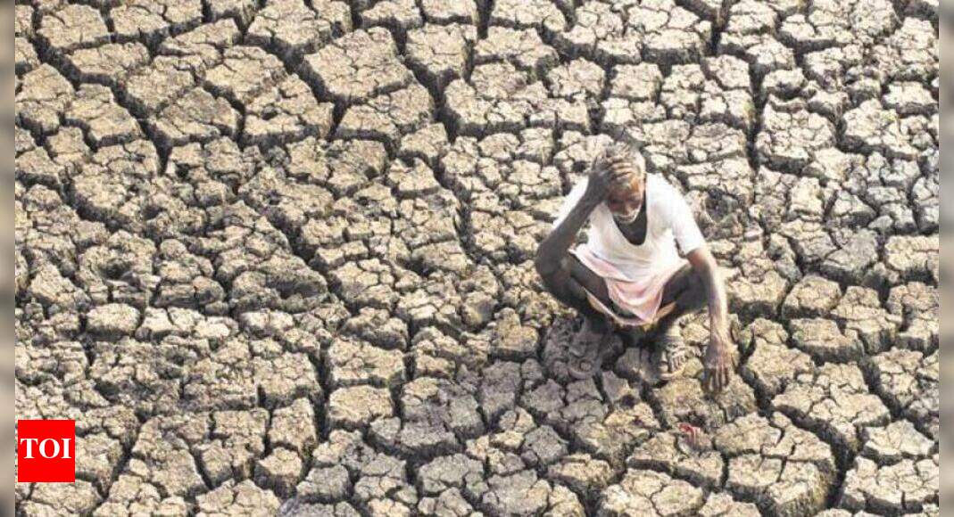Drought fears in Vidarbha, parts of Marathwada due to poor rains ...