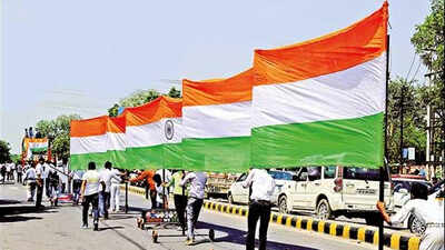 A 75-feet long national flag at this Tiranga Yatra in Noida