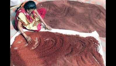 Cleaning, drying and hoping the stink goes away | Bengaluru News ...