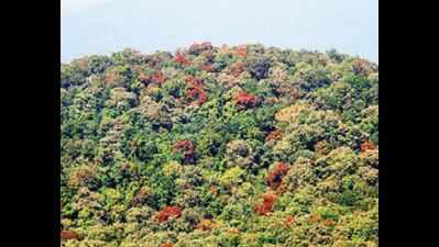 '12 of 20 protected forests faring well'