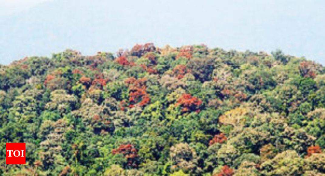 12-of-20-protected-forests-faring-well-kozhikode-news-times-of-india