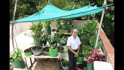 On a cool jaunt inside an eco-friendly house | Chennai News - Times of ...