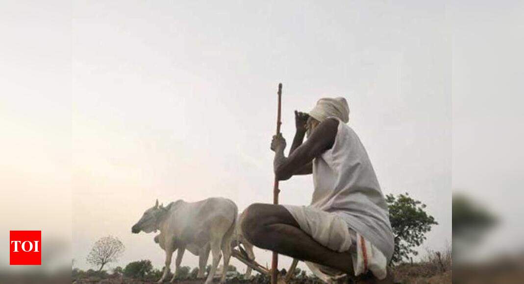 Dry spell in Vidarbha: 120 farmers ended life in July-August | India ...