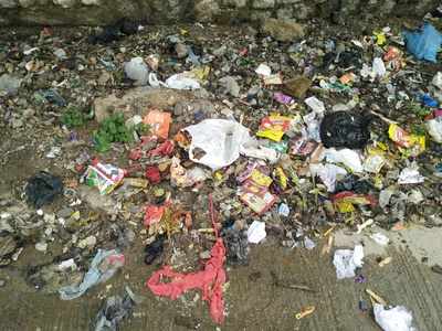 Garbage Basin is a Dream - Times of India