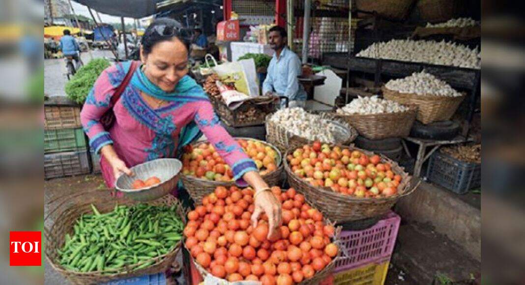 Tomato prices to fall from 2nd week of September Jaipur News Times