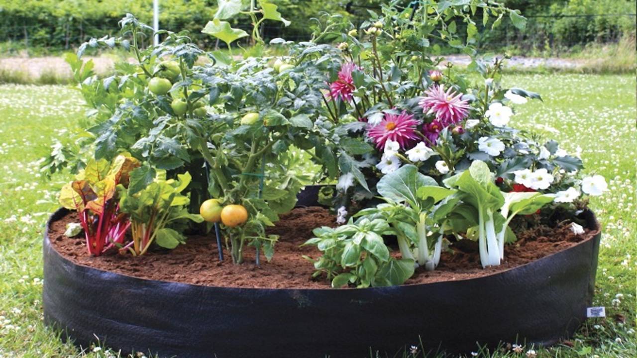 Grow bags are a lightweight, mobile option for gardeners