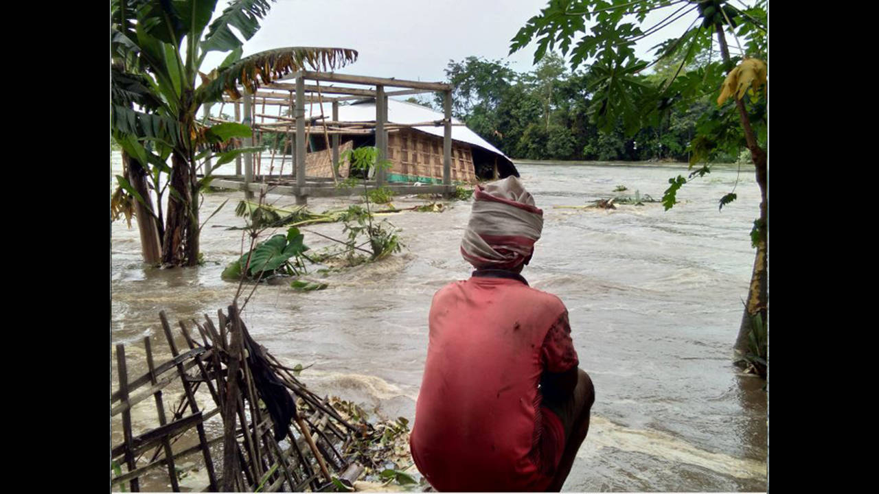 Godavari floods: Over 12K houses damaged | Godavari floods: Over 12K houses  damaged