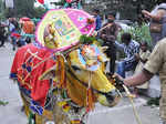 A decorated bullock is seen