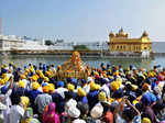 Sikh devotees carry a gold plated palanquin