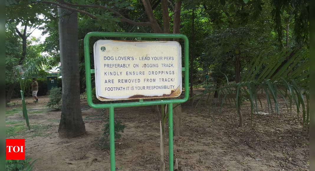 Lodhi Garden A Loo For Dogs Times Of India