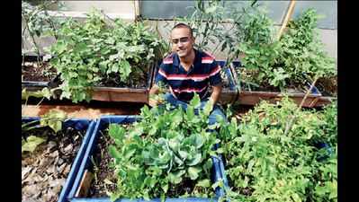 Techie gives up career to promote apartment farming, toxin-free food