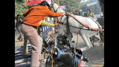 ‘Horses likely to face injuries’