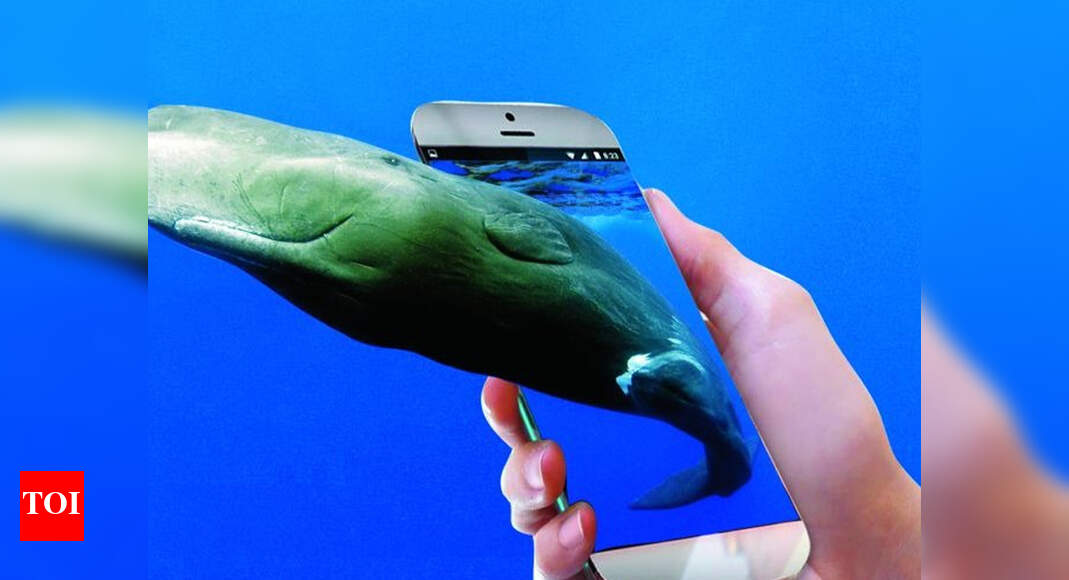 Blue Whale: It's not a videogame | Kolkata News - Times of India
