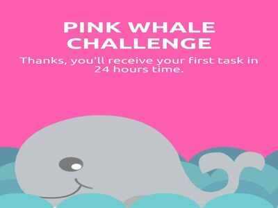 It’s time to love yourself with the Pink Whale Challenge | Bengaluru