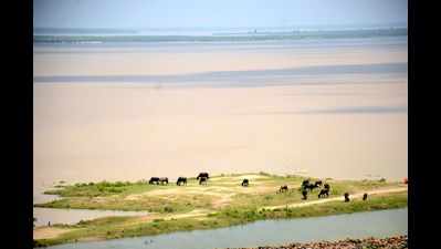 No fresh flood death in Bihar, rivers recede