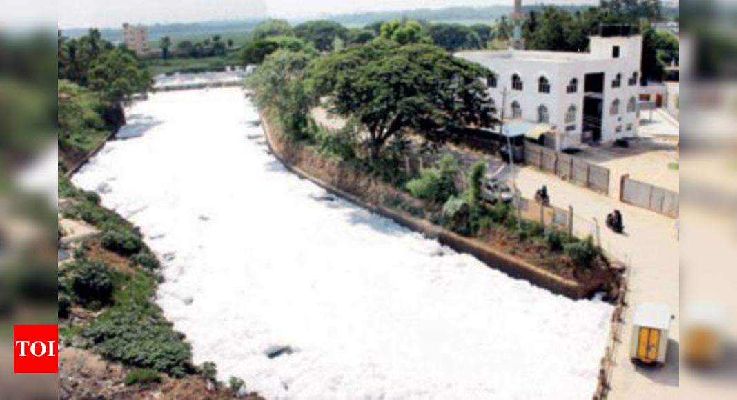 All stakeholders shying away from cleaning Bellandur Lake Bengaluru