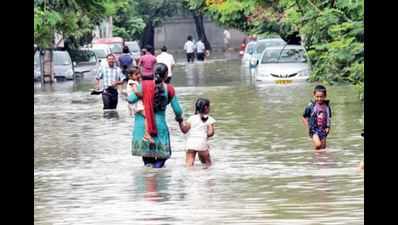 Waterbody pays heavy price for concretization, shows IISc study