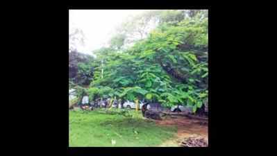 Indira Canteen coming up in park, claim residents