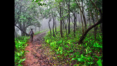 Odisha claims of retaining top position in forest act implementation