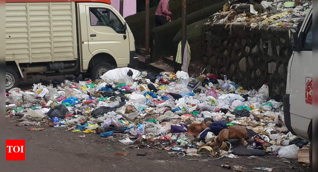 Dry and wet garbage Times of India