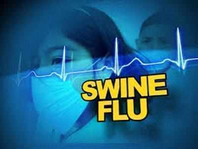 H1N1 has killed 1,100 so far this year