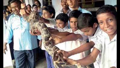 Raising awareness, with a python in classroom