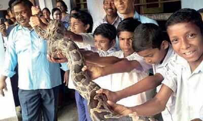 Raising awareness, with a python in classroom | Kolkata News - Times of  India