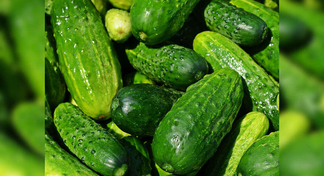Easy tricks to remove bitterness from cucumber