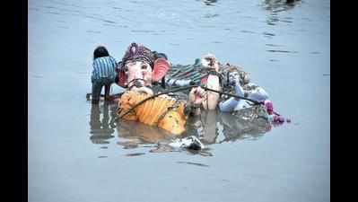 Citizens urged to immerse idols in sea