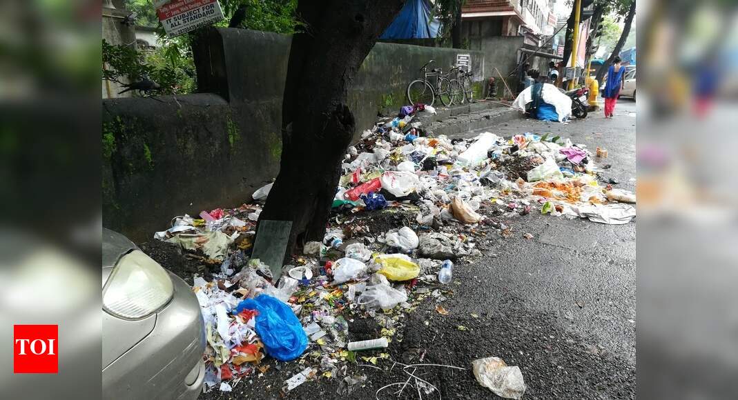 No dustbin provided. Roadside garbage dumping Times of India