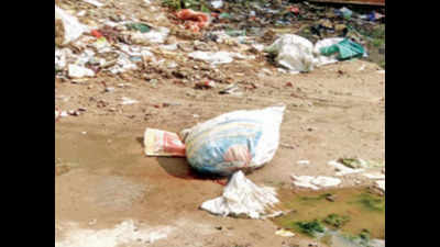 Not enough bins; animal scrap piles on day of qurbani