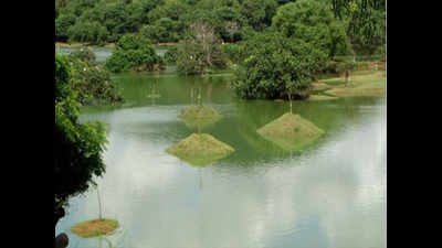 Lake in Koramangala threatened by encroachments, tardy work