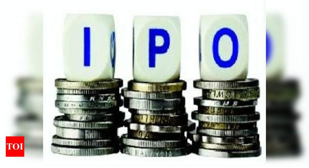 bharat-road-network-limited-ipo-times-of-india