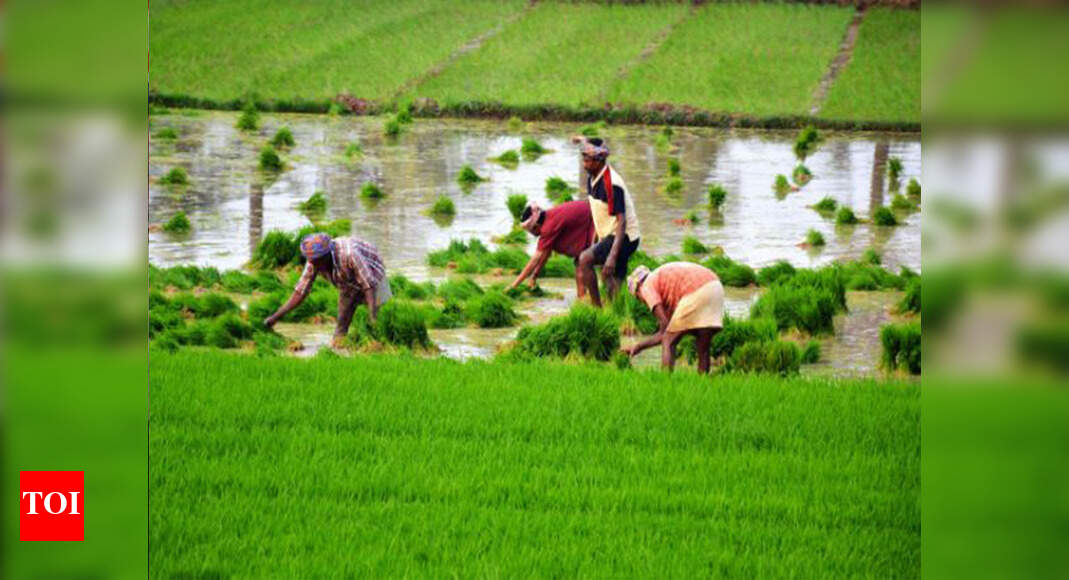 Fearing low recoveries from farmers, PADB starts sending arbitration ...