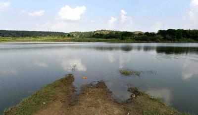 Vigilant villagers help stop idol immersions, keep Damdama lake clean