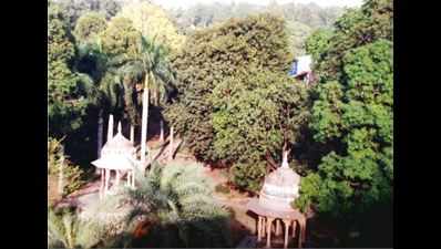 Intach worries for trees in future 'Smart City'