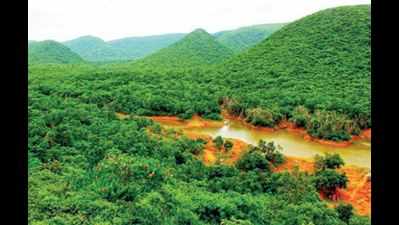 Andhra Pradesh government to denotify reserve forest in Seetakonda to make way for IT hub