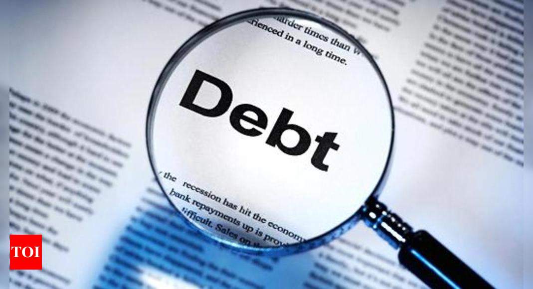 what-are-the-risks-associated-with-debt-securities-times-of-india