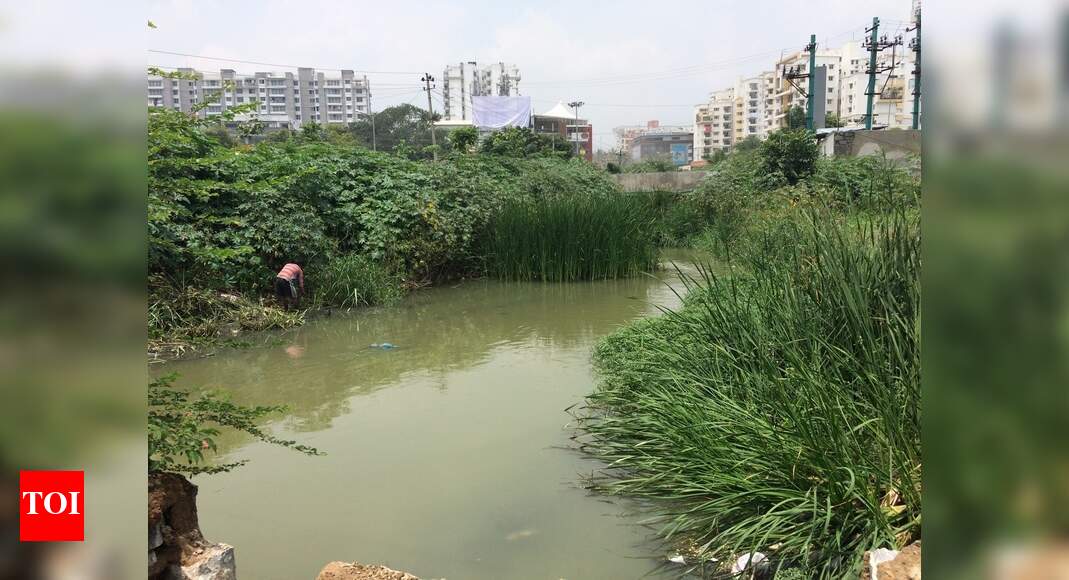 Raja kaluve is severely blocked - Times of India