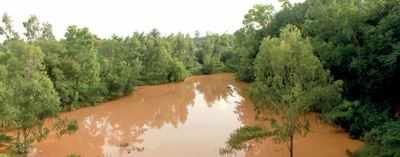 Rains give new life to long-lost river Arkavathi