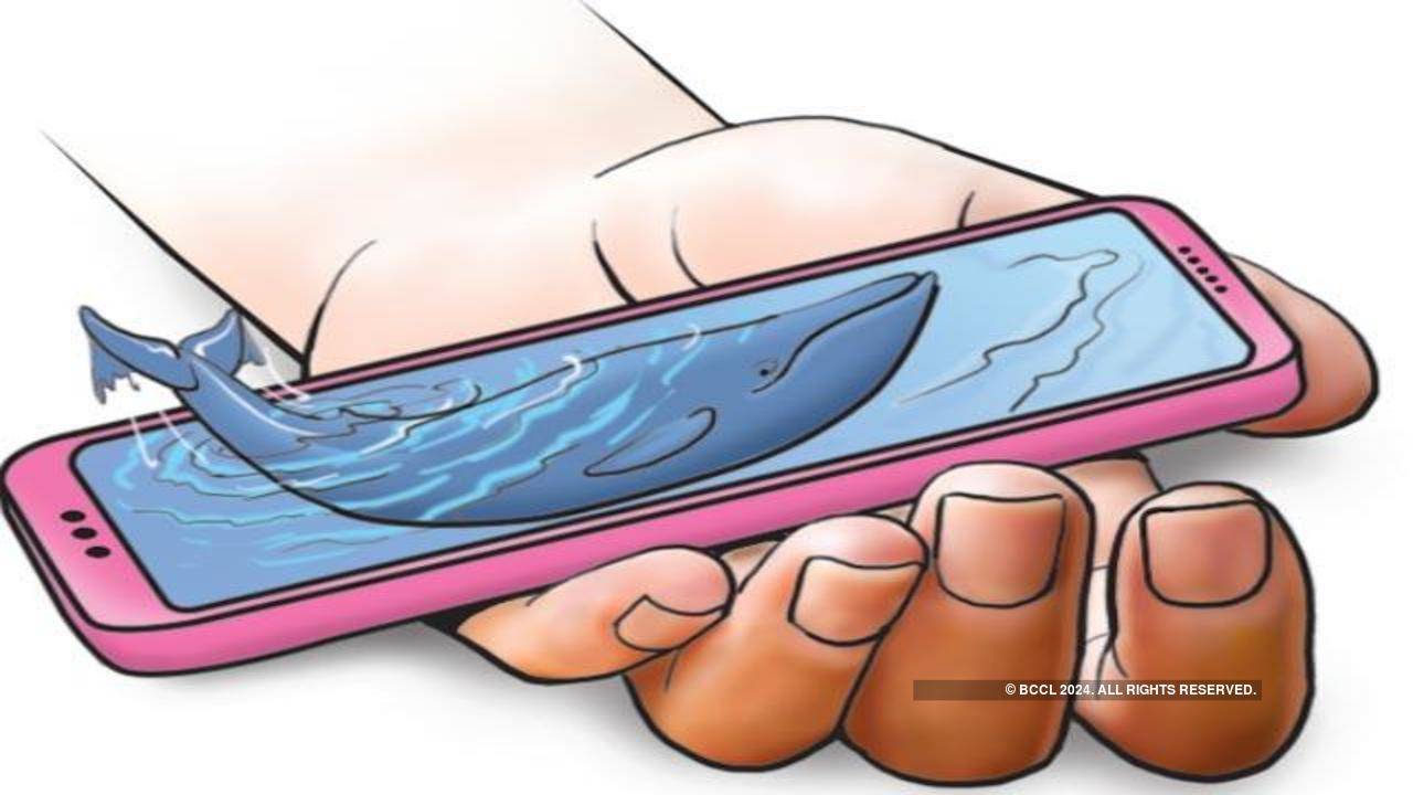 Russian social network VKontakte temporarily blocked in India for Blue  Whale threat | India News - Times of India