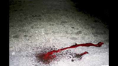 Man hacks three to death with axe