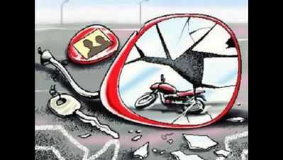 2 die in hit-and-run incidents in Alipur