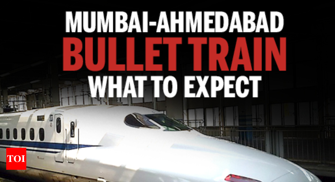 Infographic: What The Bullet Train Project Brings To India | India News ...